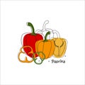 hand drawn modern illustration of sweet paprika pepper
